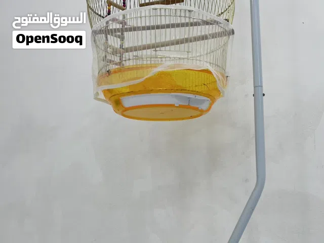Big Cage  New قفض كبير جديد