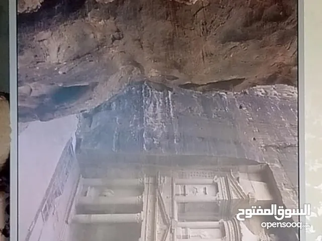 برواز البتراء الجديد