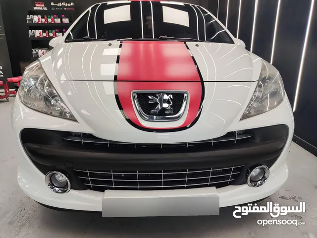 2009 Peugeot 207 RC LE MANS SERIES