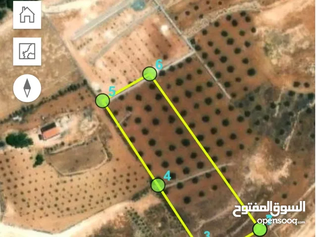 Mixed Use Land for Sale in Jerash Al-Rashaida