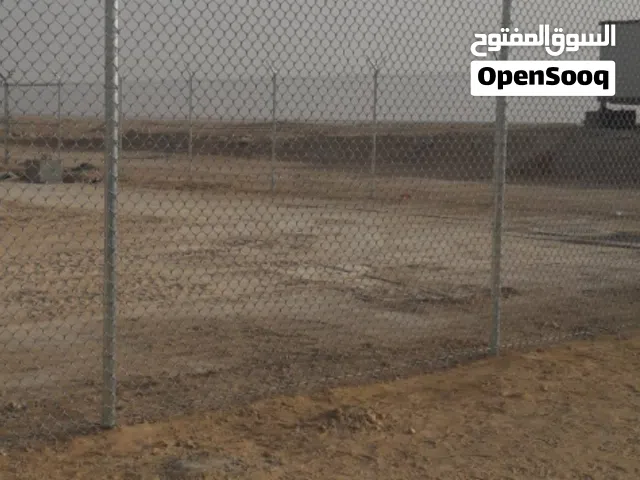 مقولات شبوك وقسم خاص لتوريد النخيل