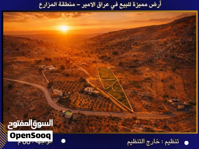 Farm Land for Sale in Amman Iraq Al Ameer