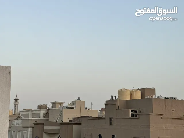 للبيع لوت 7 حبات حمام برج