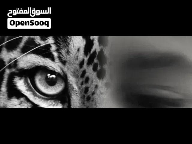 شاب يطلب عمل