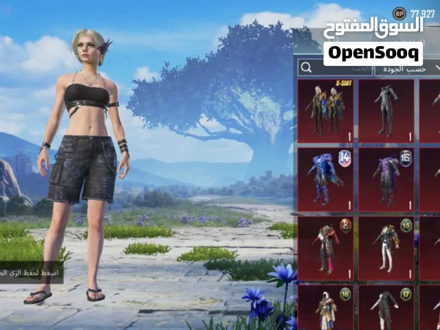 Pubg Accounts and Characters for Sale in Baghdad