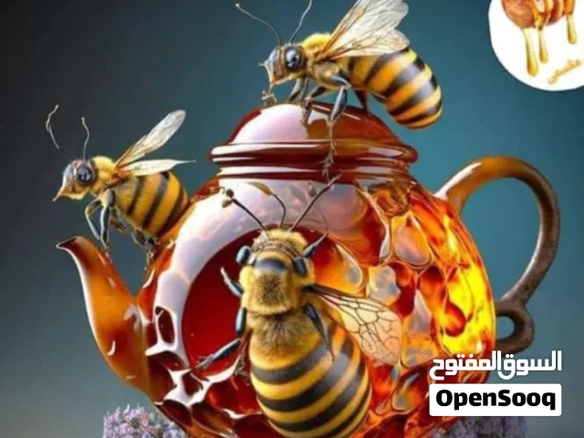 عسل إيراني فاخر بسعر مناسب