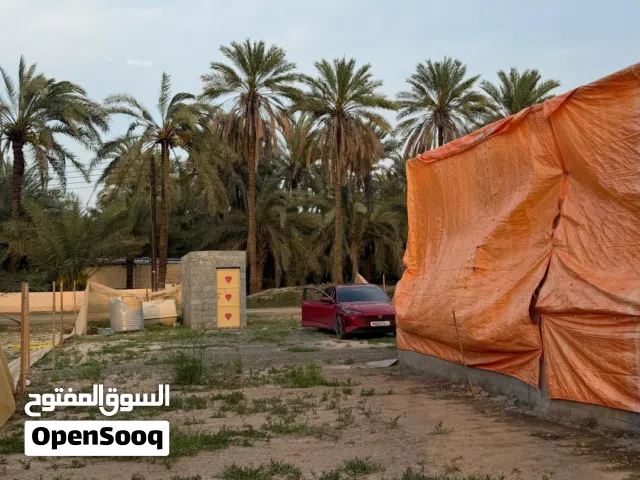 Farm Land for Rent in Al Batinah Sohar