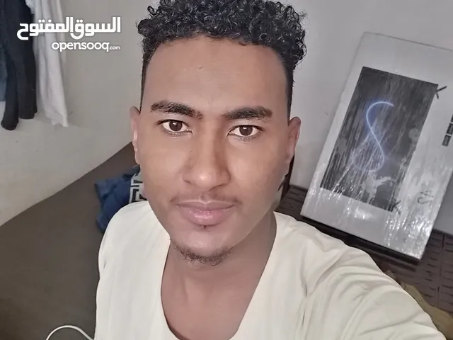 احمد محمد عوض الكريم