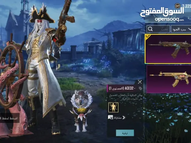 Pubg Accounts and Characters for Sale in Abha