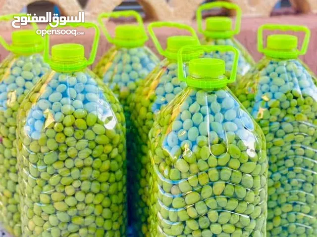 زيتون مائدة للبيع