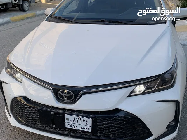 كوريلا هايبرد زيرو للبيع