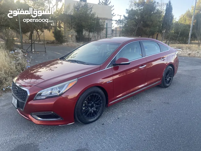 Used Hyundai Sonata in Amman