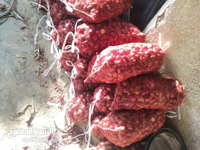 بصل مواني احمر حبة وسط ممتاز بجودة عالية