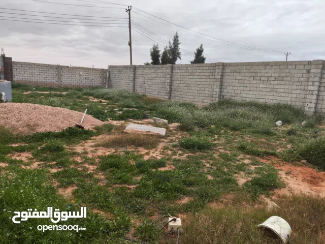 Residential Land for Sale in Misrata Tamina
