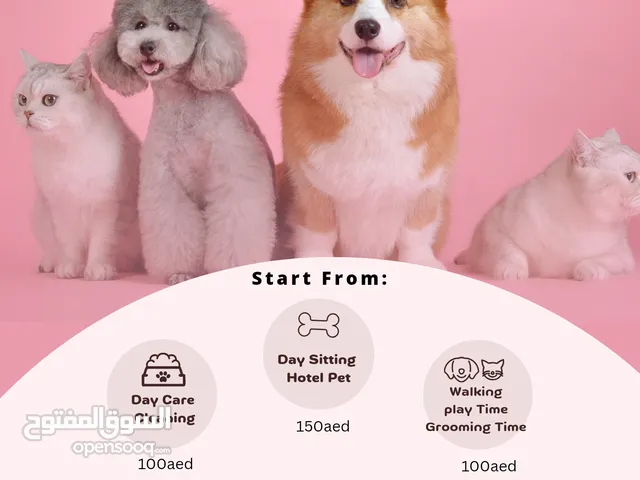 Pet Sitting