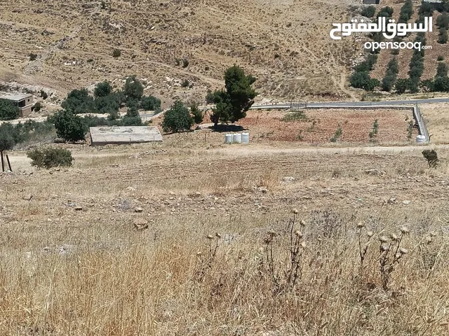 ارض سكنيه للبيع - السرو -حوض البشيري - خلف جامعة عمان الأهليه -منطقة جميلة
