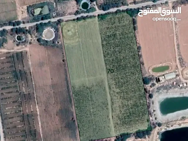 Farm Land for Rent in Jordan Valley Al Rama