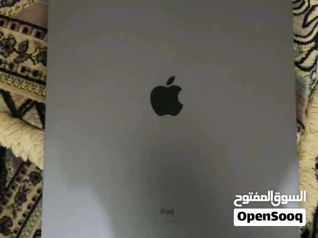 Apple iPad Pro 256 GB in Ibb