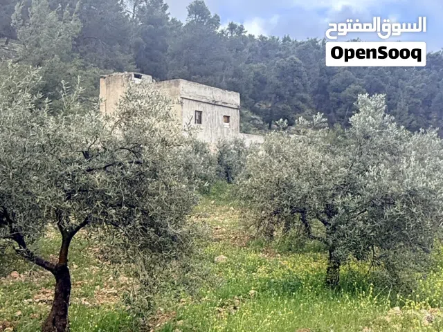 Farm Land for Sale in Jerash Unaybah