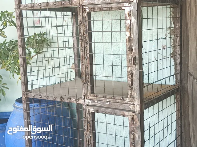 قن اربع عيون