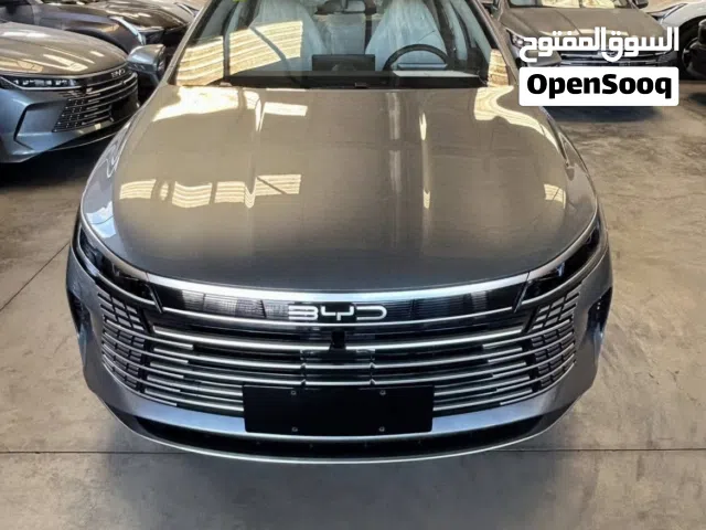 2025, بي واي دي, ديستروير