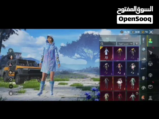 Pubg Accounts and Characters for Sale in Saada