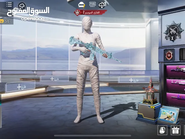 حساب كامل باقي التفاصيل ع واتس