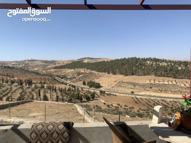 115 m2 3 Bedrooms Townhouse for Sale in Mafraq Al-Daqusma