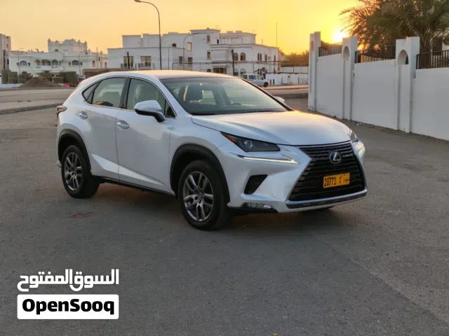 Used Lexus NX in Muscat