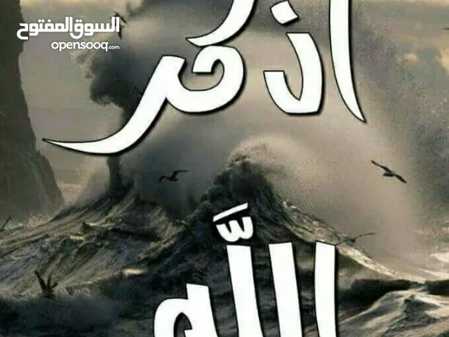 علاء زهدي