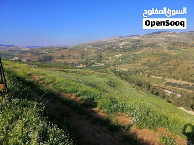 Farm Land for Sale in Jerash Al-Mastaba