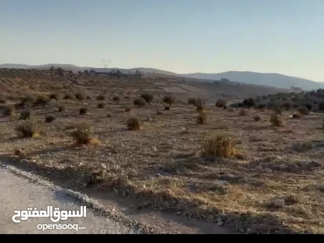 Farm Land for Sale in Zarqa Al-Kamsha