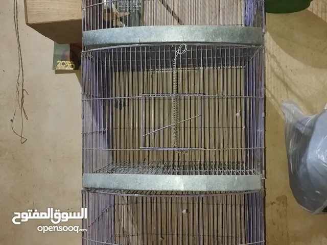 سلاكة 3 عيون بومبية كوكتيل بحالة جيدة + عش كوكتيل