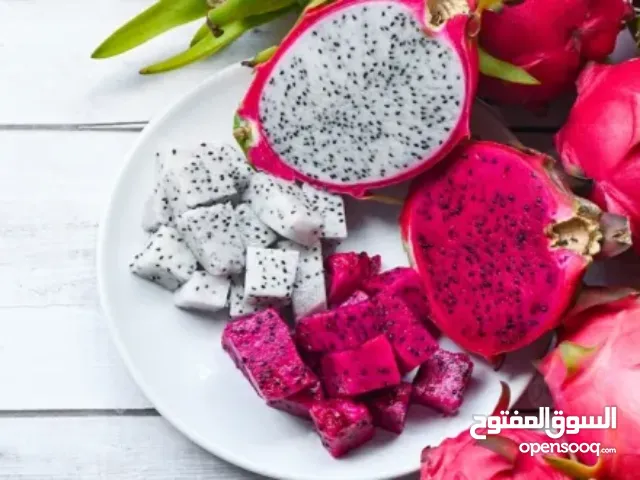 شتل فاكهه التنين