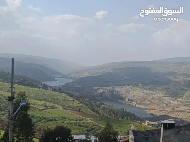 1100 م من اراضي المصطبه  مطل على سد طلال وجبال السلط وغابات دبين