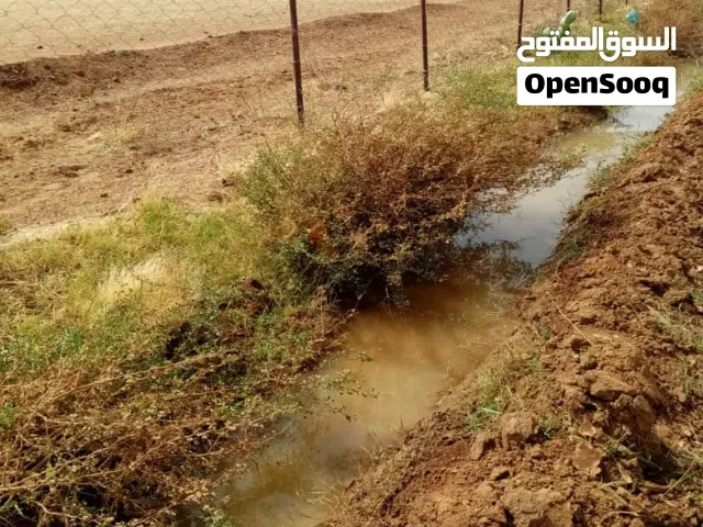 Farm Land for Sale in Khartoum Sharq Al-Nile