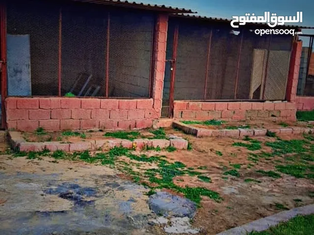 استراحه عظم للبيع بضواحي الخمس طريق الصنانات