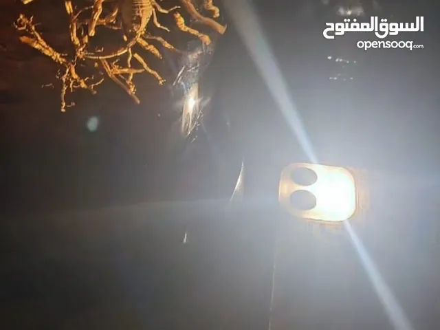 حجر كهرمان معالج