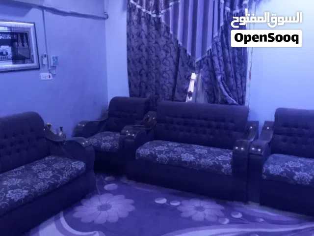 تخم قنفات للبيع