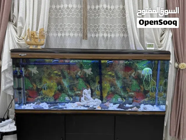 حوض اسماك متر ونص نوع بوفت