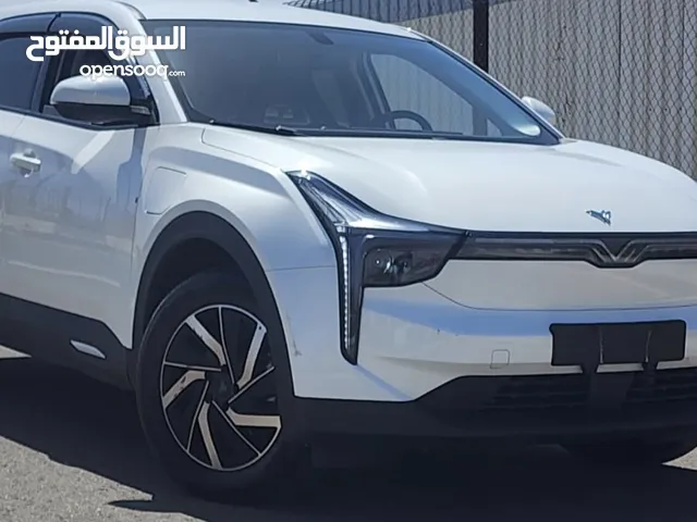 نيتا U 2022 برو فحص كامل عداد قليل SOH 98%