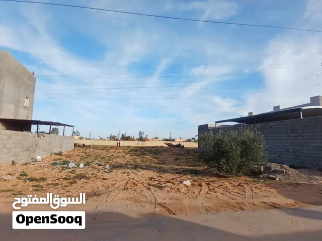 عين زاره خلة النور