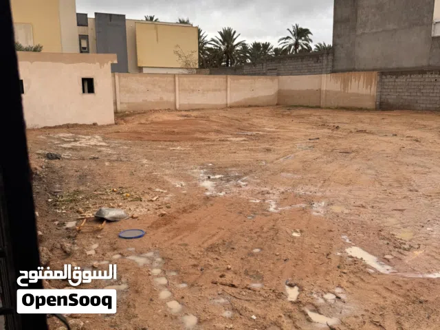 ارض للبيع خلف تريبولي مول الشارع إلا بين البينيا و المشتل