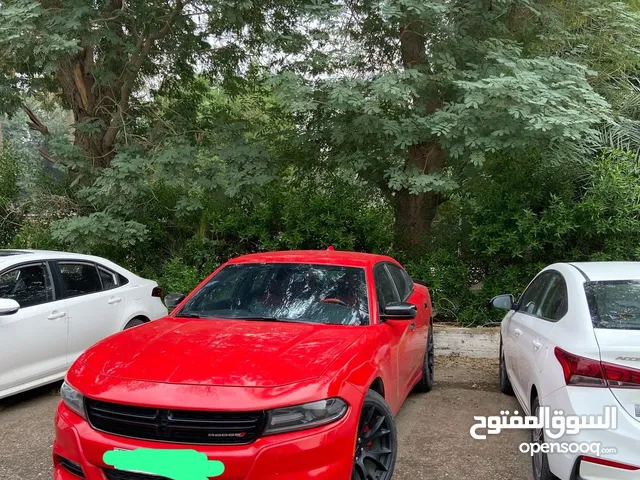 جارجر احمر طماطة 2017 sxt للبيع فقط بدون مراوس