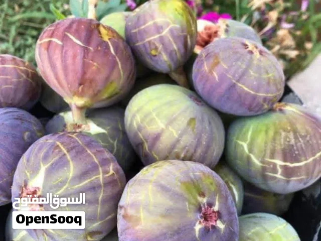 أشجار واشتال