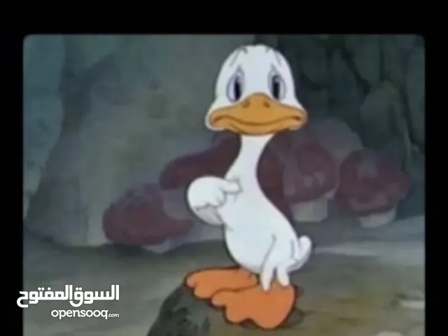 فراس الشريف