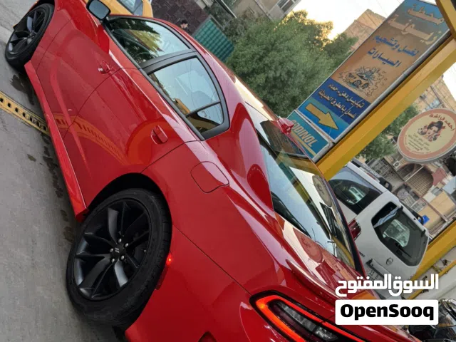 جارجر موديل 2023 كفالة عامة عدا بنيد