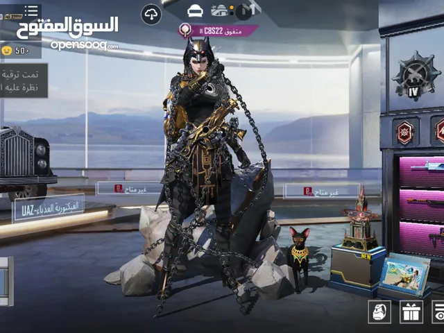 Pubg Accounts and Characters for Sale in Basra