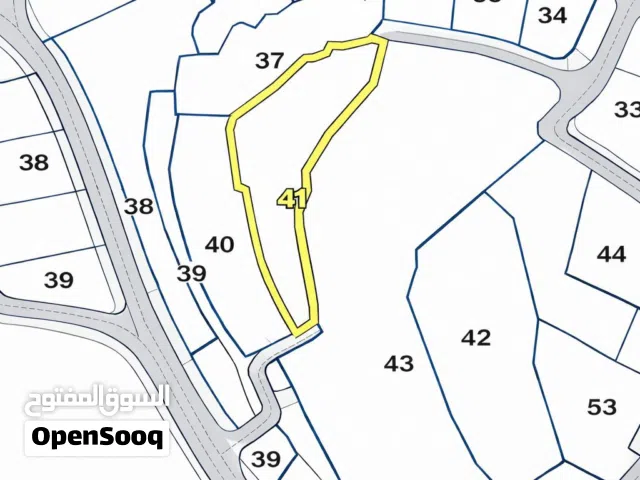 ارض للبيع رام الله الجانيه