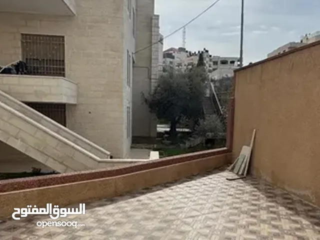 شقة للبيع جديدة ولم تسكن من قبل في البالوع.